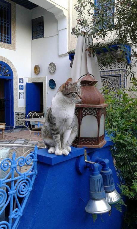 Riad Jean Claude Fes Exterior photo